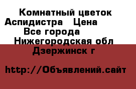 Комнатный цветок Аспидистра › Цена ­ 150 - Все города  »    . Нижегородская обл.,Дзержинск г.